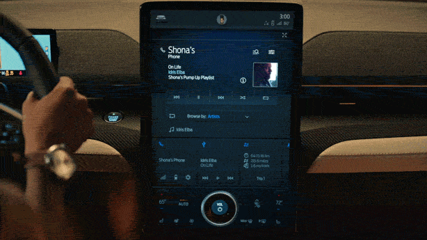 Mustang Mach-E v. DNA GIF